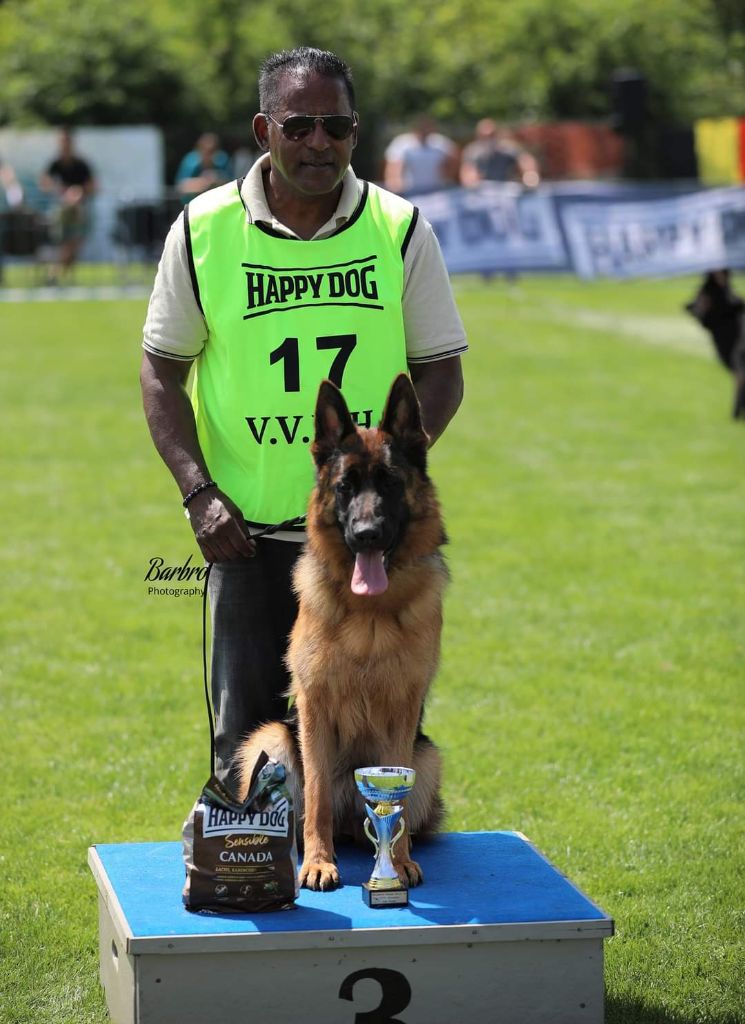 De La Vallee Des Mustangs - Résultats exposition Championnat de Belgique et régionale d'élevage de