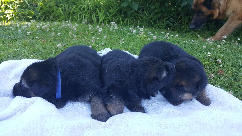 Les bébés d'Inès et d'Icon
